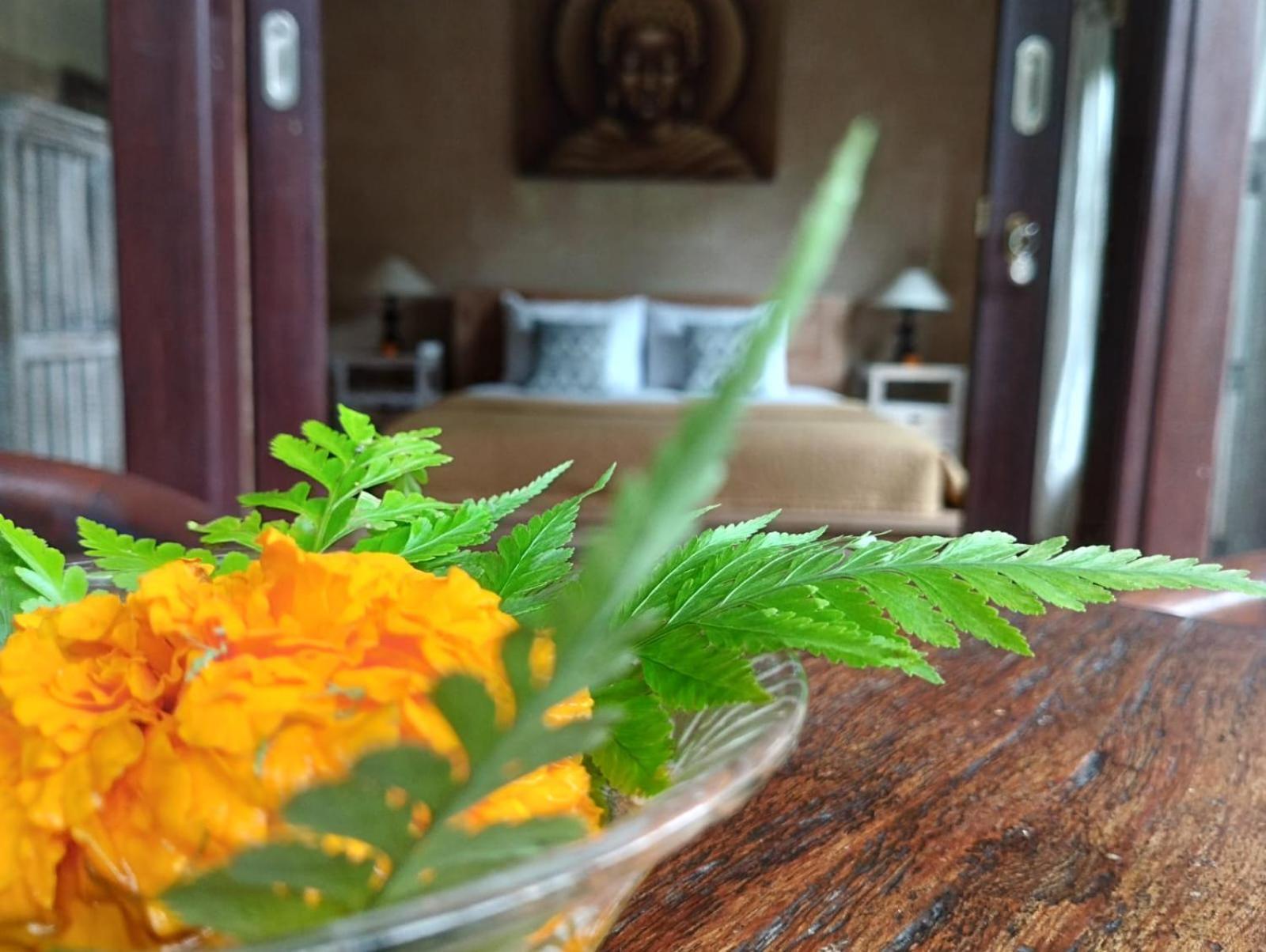 Umah Ubud Guest House Exterior foto